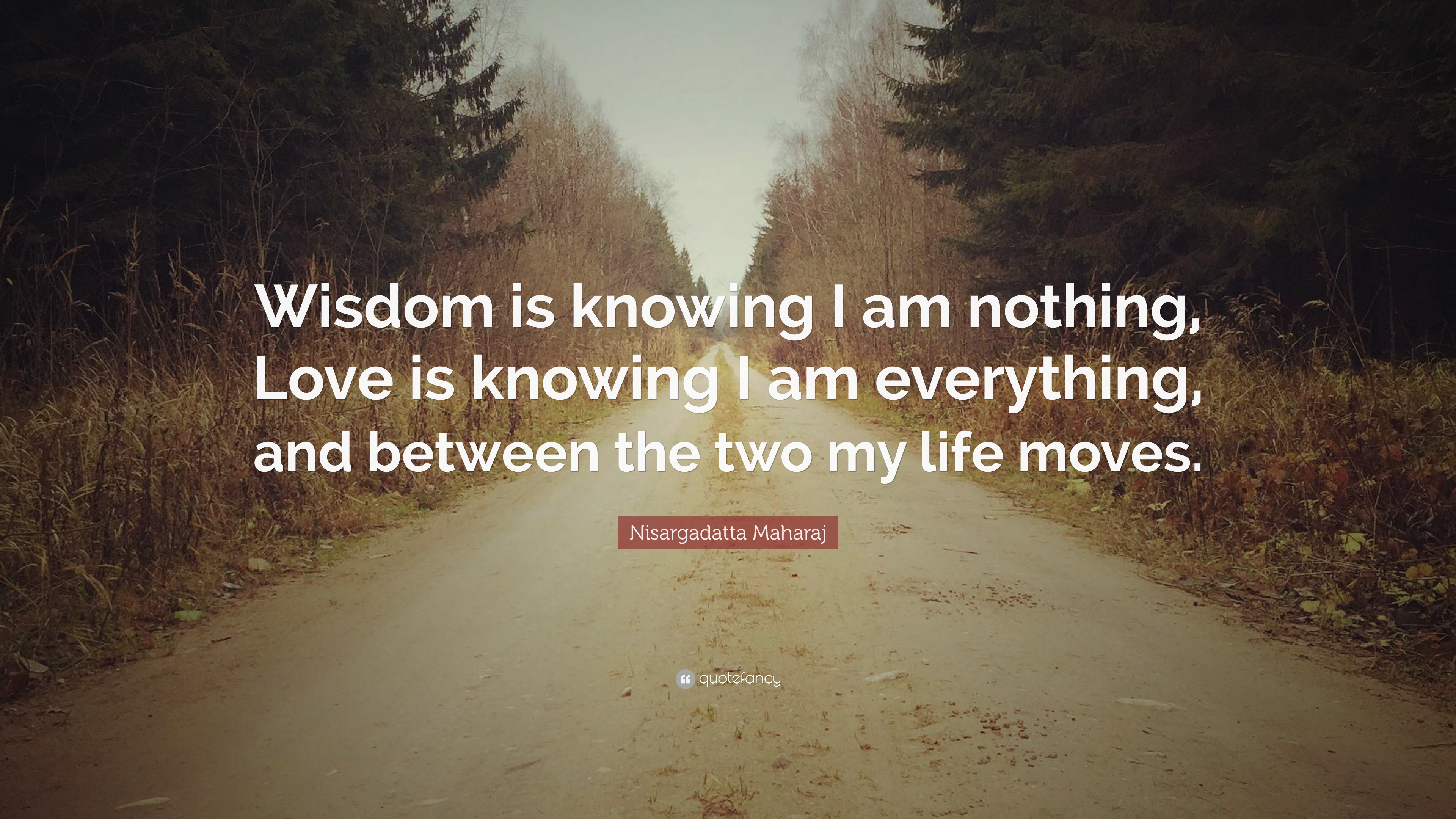 365800-Nisargadatta-Maharaj-Quote-Wisdom-is-knowing-I-am-nothing-Love-is